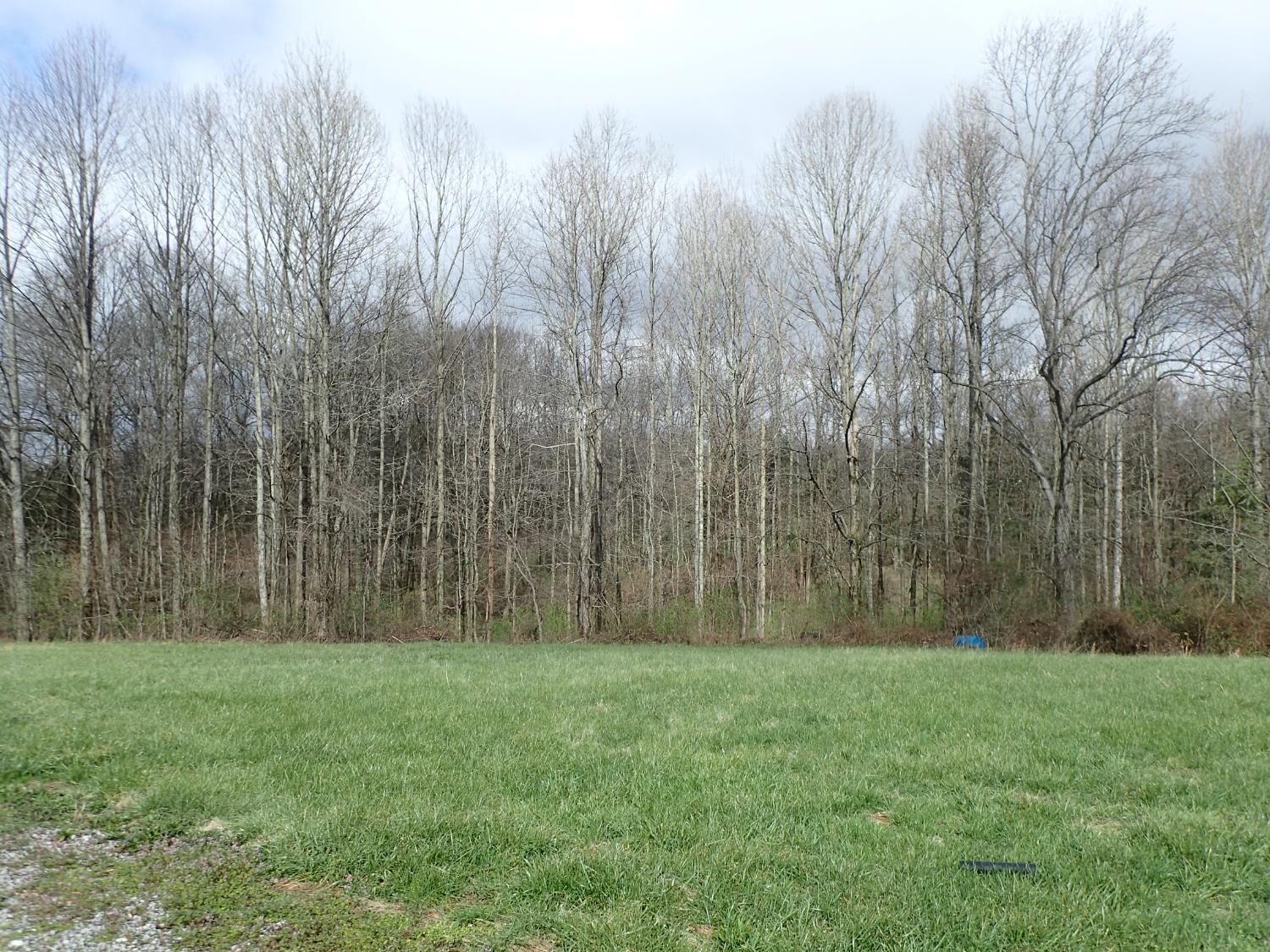 14071 Goodner Road Dillsboro, IN 47018 - Photo 36 of 45