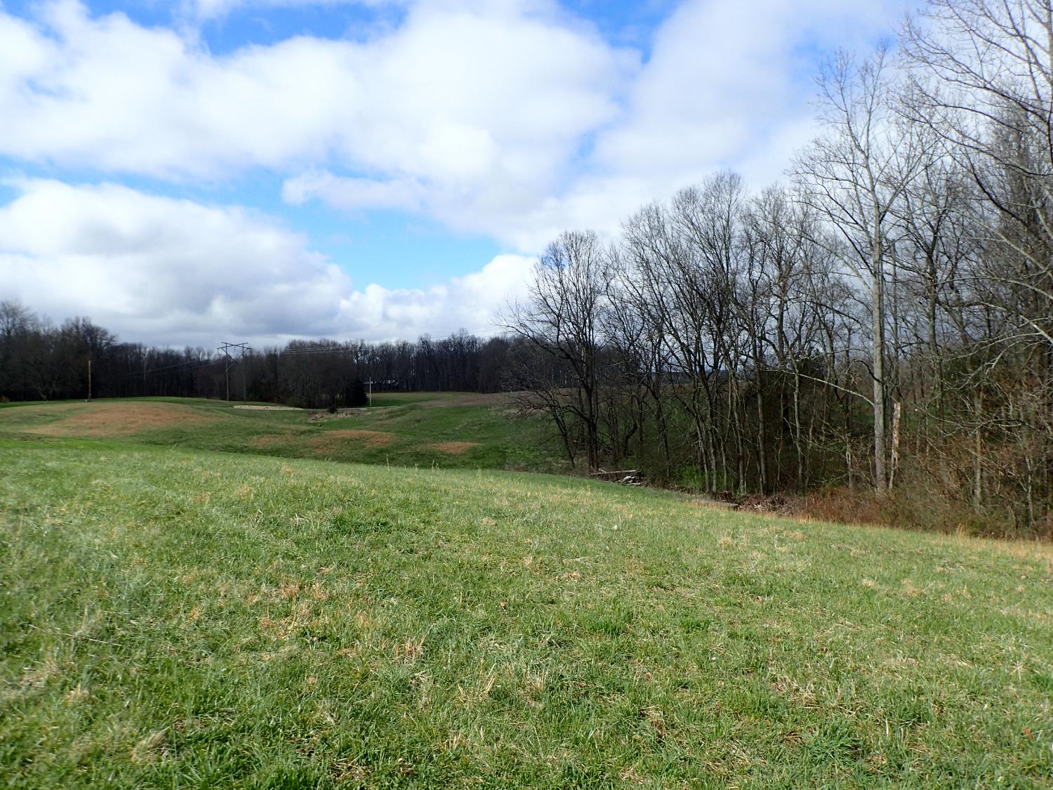 14071 Goodner Road Dillsboro, IN 47018 - Photo 37 of 45