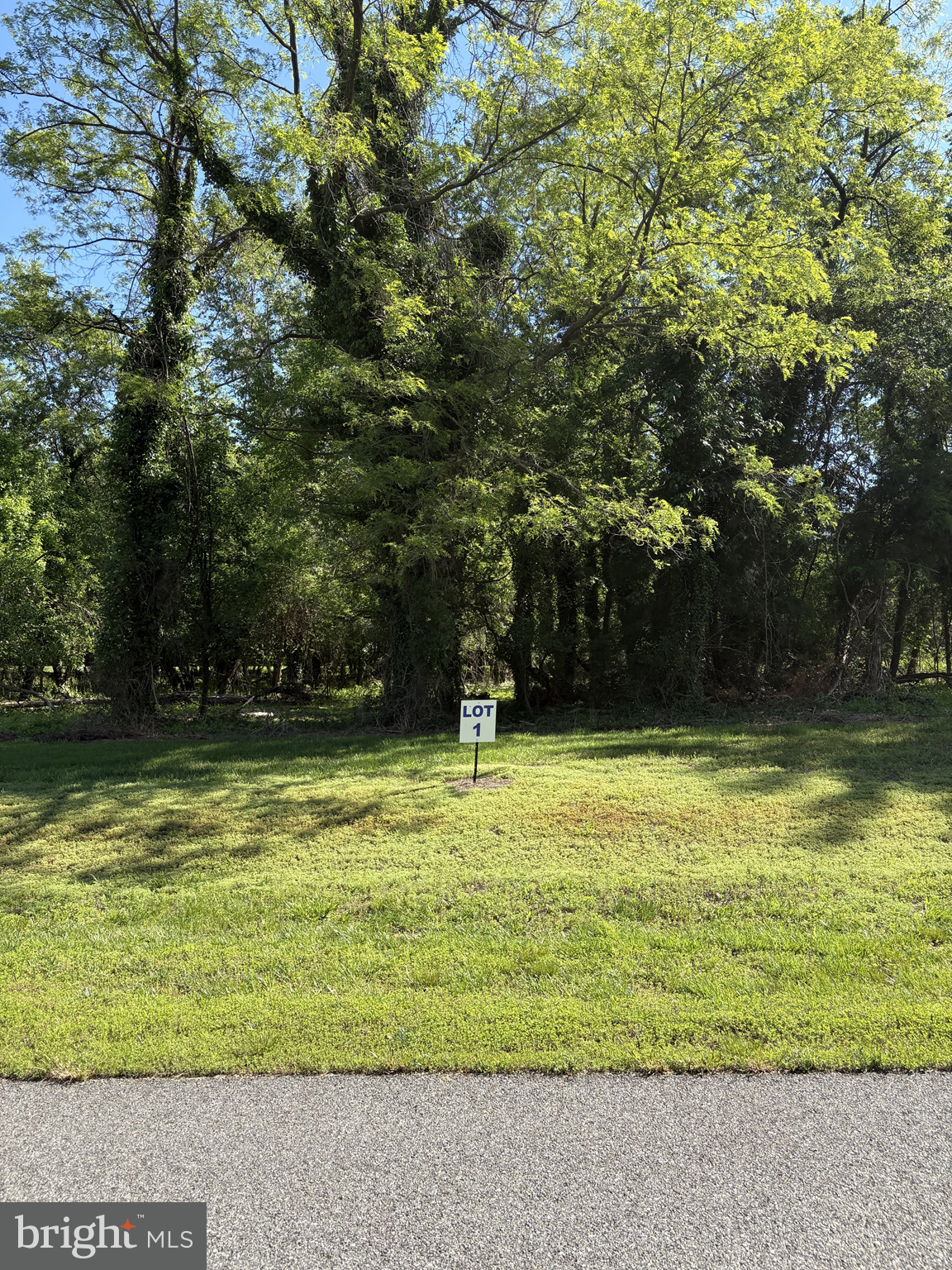 1 Wilson Point Road Galena, MD 21635 - Photo 2 of 4 Gallery Image 2