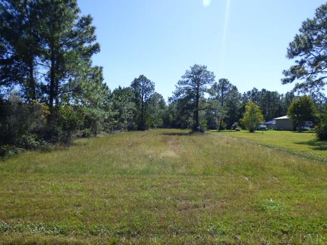 5700-blk Raughton Road Milton, FL 32583 - Photo 1 of 5 Gallery Image 1
