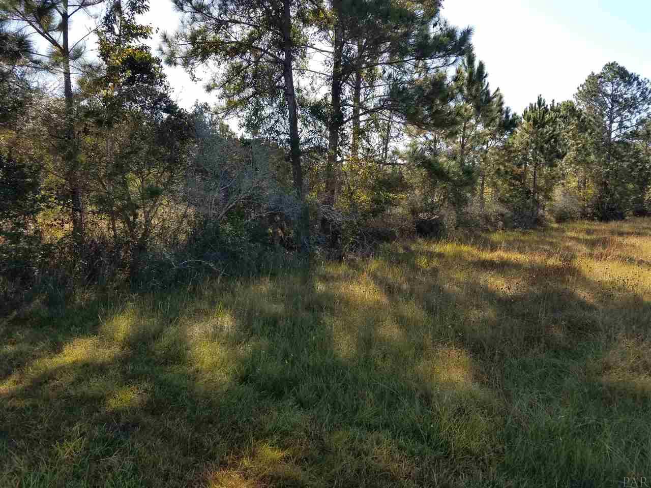 5700-blk Raughton Road Milton, FL 32583 - Photo 4 of 5 wooded lot to the left