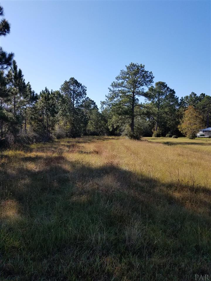 5700-blk Raughton Road Milton, FL 32583 - Photo 5 of 5 Gallery Image 5