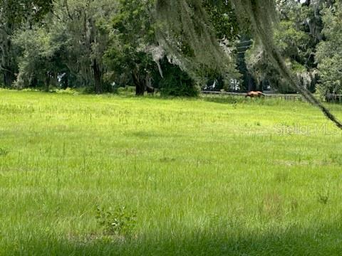 14854 Northeast Jacksonville Road Citra, FL 32113 - Photo 4 of 7