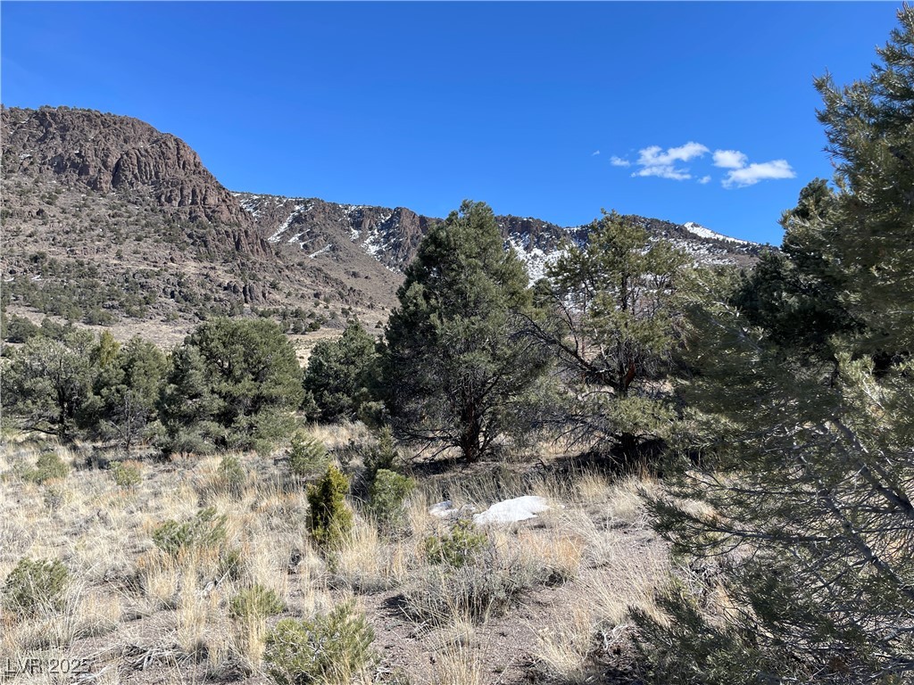 P-16 Butte Valley Ely, NV 89301 - Photo 1 of 4