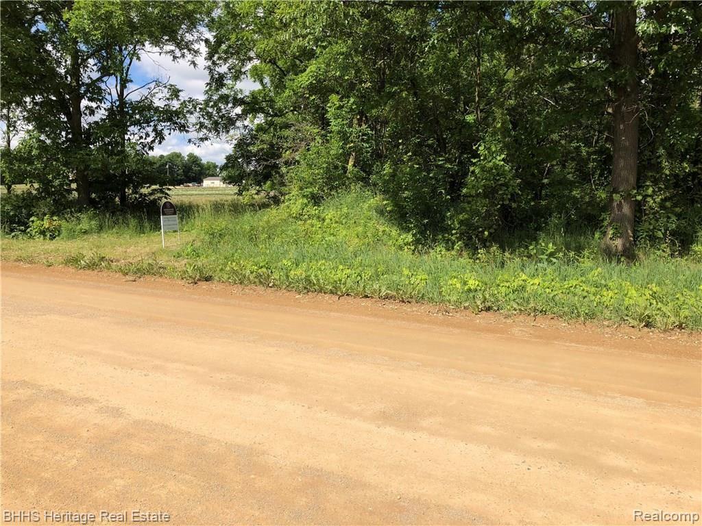 V/l State Perry, MI 48872 - Photo 2 of 3