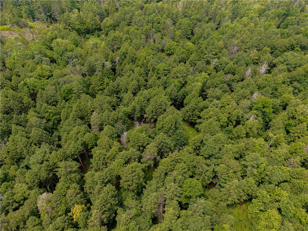 Sheff Road South New Berlin, NY 13843 - Photo 6 of 35