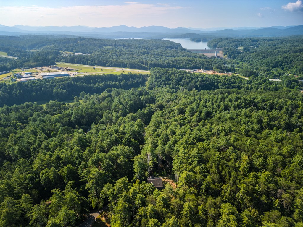 345 Deer Trail Mineral Bluff, GA 30559 - Photo 17 of 31 an aerial view of residential houses with outdoor space and swimming pool