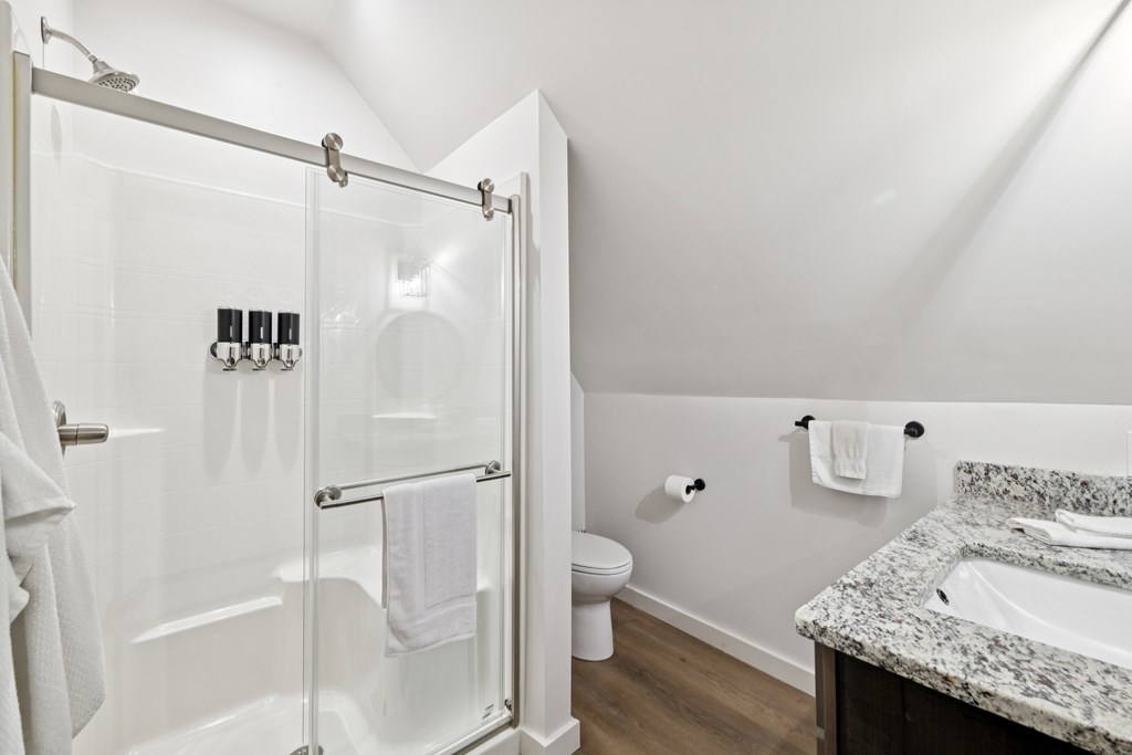 345 Deer Trail Mineral Bluff, GA 30559 - Photo 22 of 31 a bathroom with a granite countertop sink toilet and shower