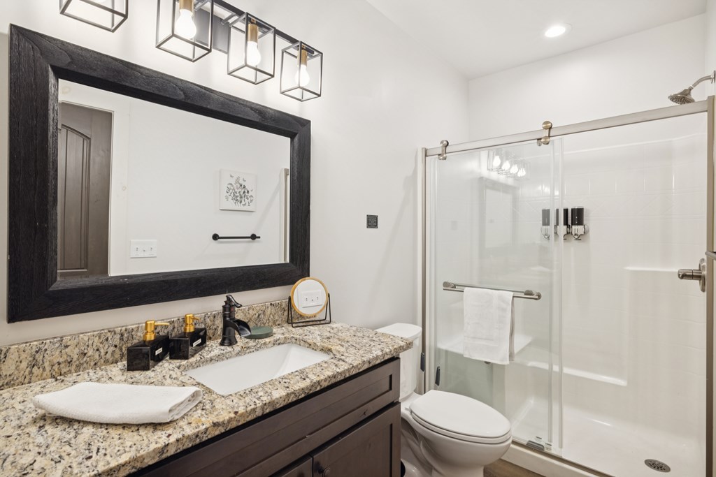 345 Deer Trail Mineral Bluff, GA 30559 - Photo 26 of 31 a bathroom with a granite countertop sink toilet and shower