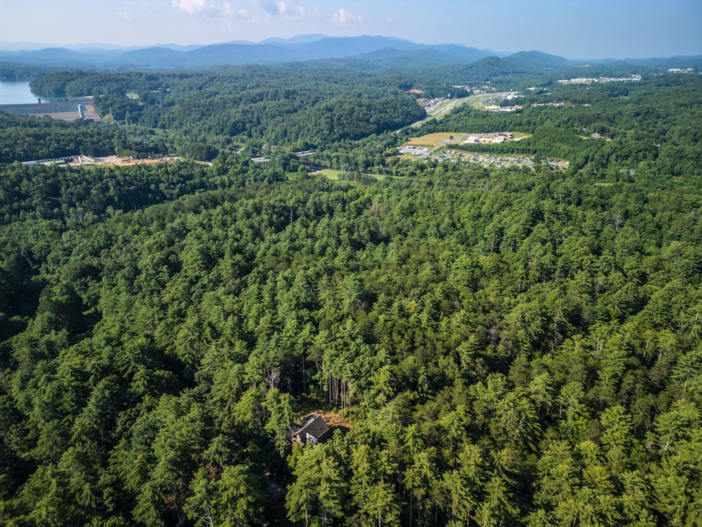 345 Deer Trail Mineral Bluff, GA 30559 - Photo 29 of 31 a view of a lush green forest with trees and some houses
