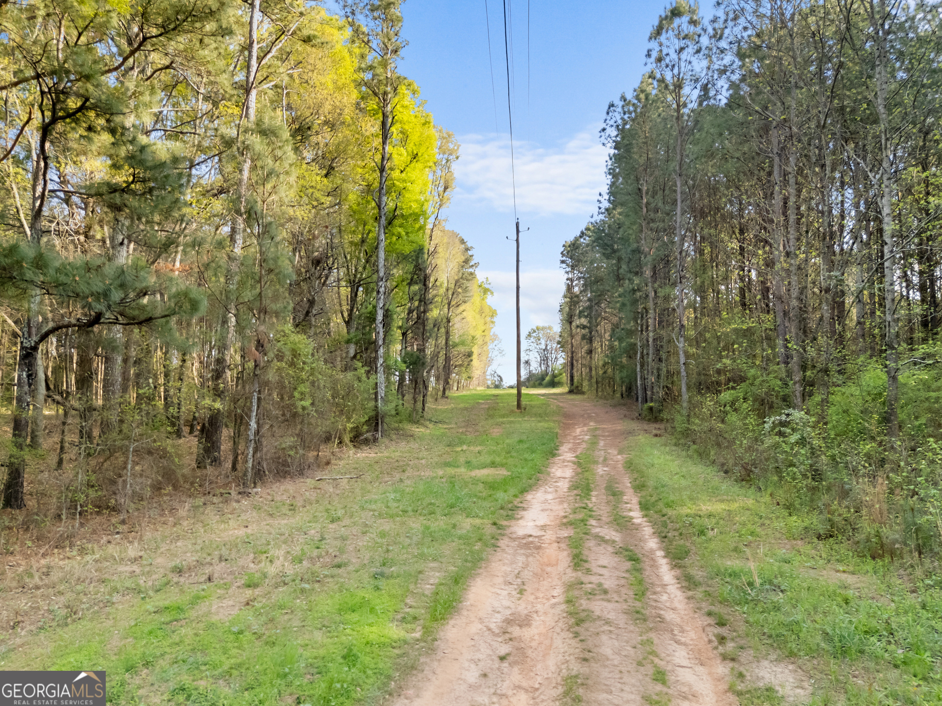 0 Stark Road Jackson, GA 30233 - Photo 12 of 16