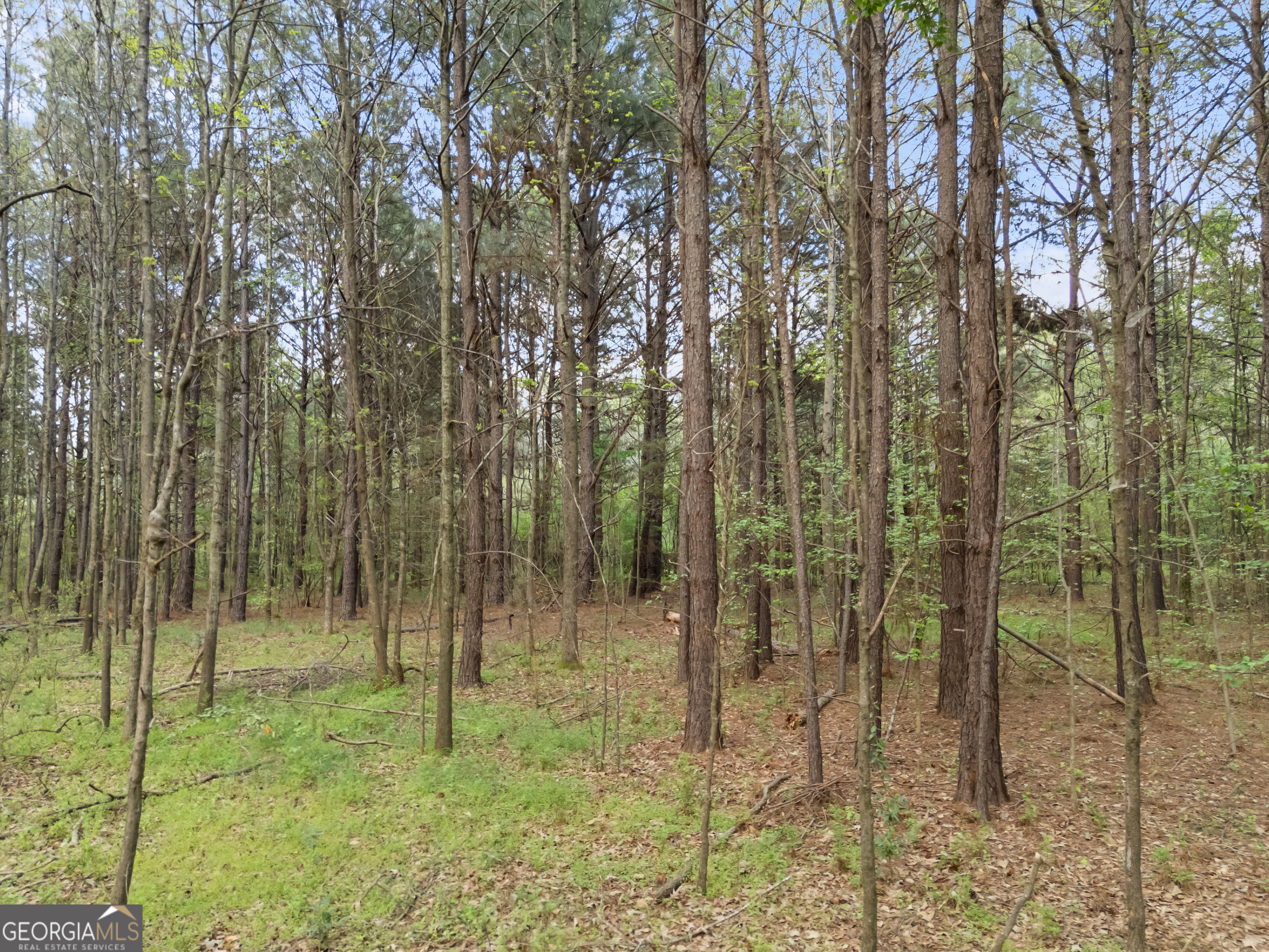 0 Stark Road Jackson, GA 30233 - Photo 13 of 16