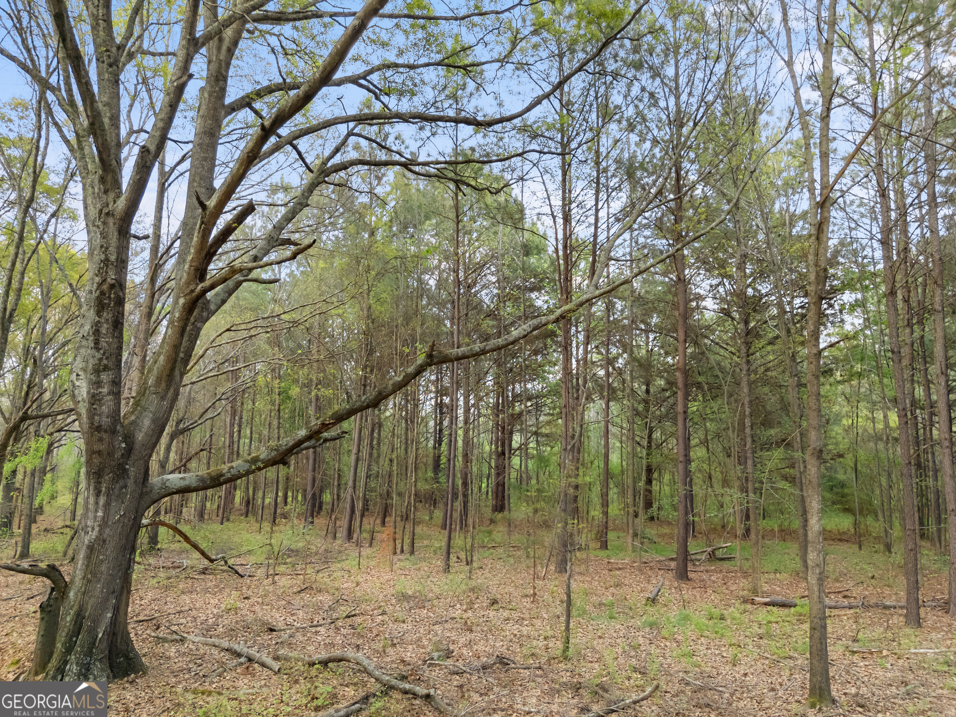 0 Stark Road Jackson, GA 30233 - Photo 14 of 16