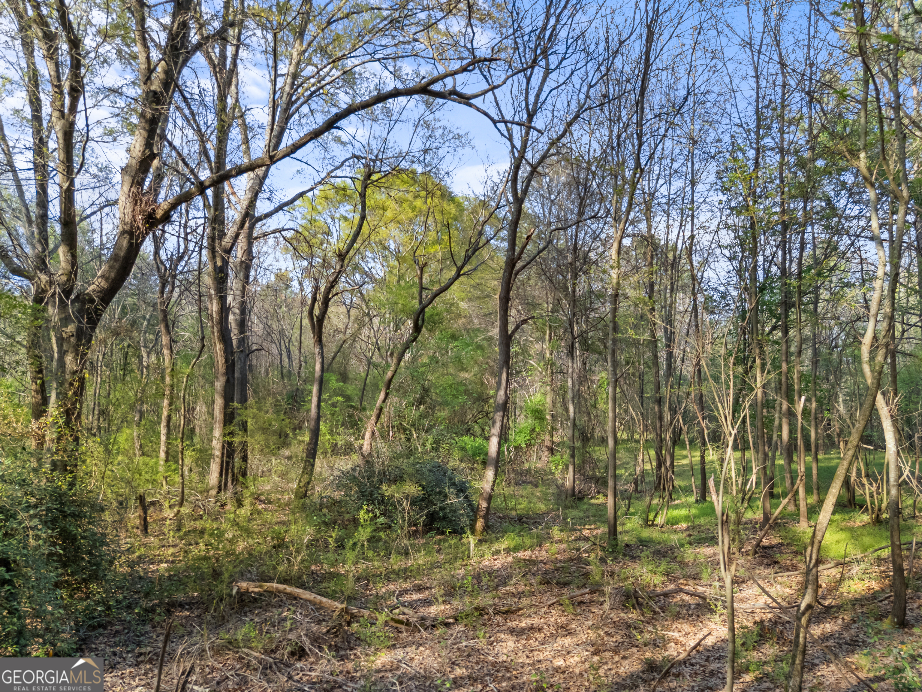 0 Stark Road Jackson, GA 30233 - Photo 15 of 16