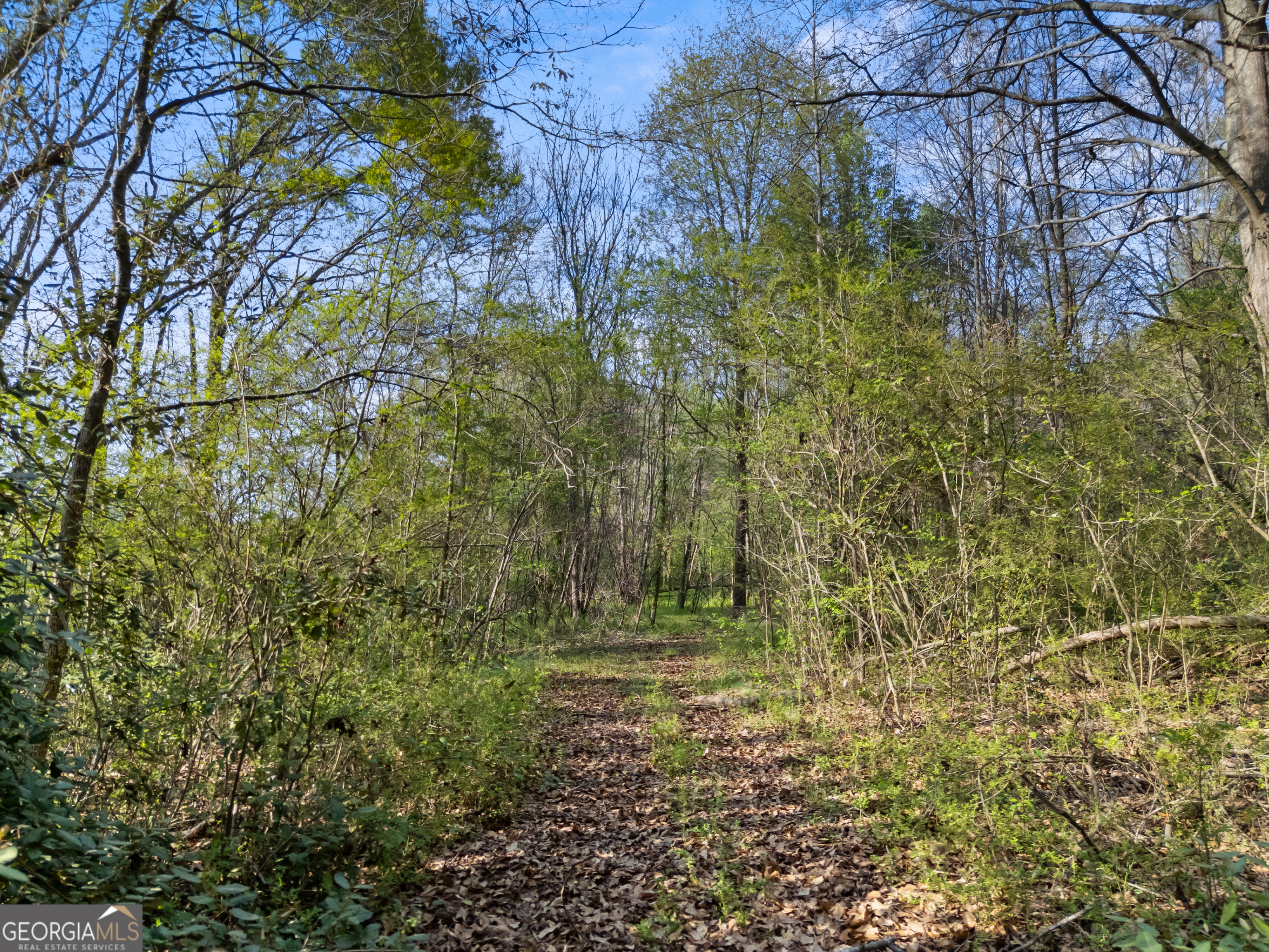 0 Stark Road Jackson, GA 30233 - Photo 16 of 16