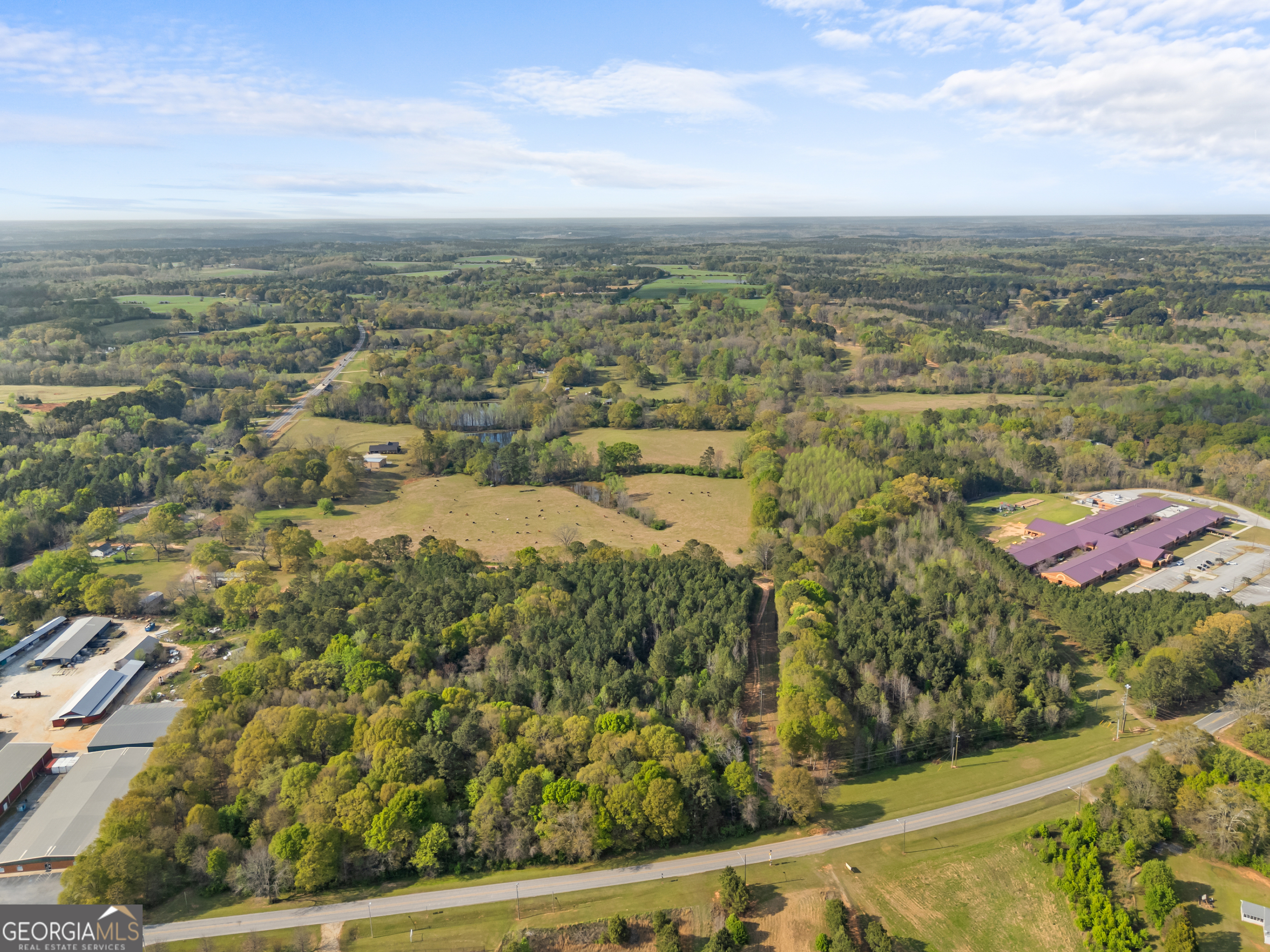 0 Stark Road Jackson, GA 30233 - Photo 6 of 16