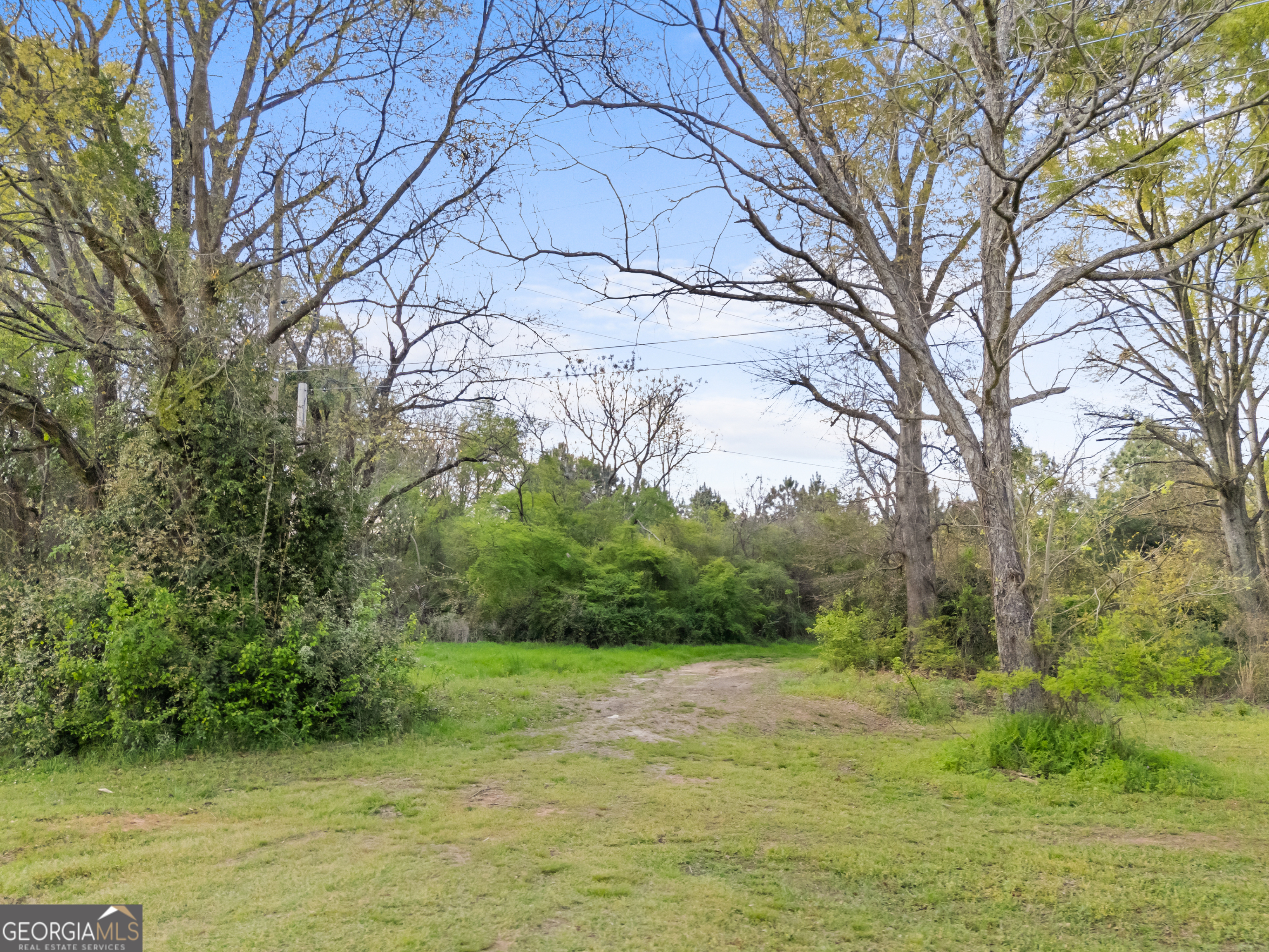 0 Stark Road Jackson, GA 30233 - Photo 8 of 16