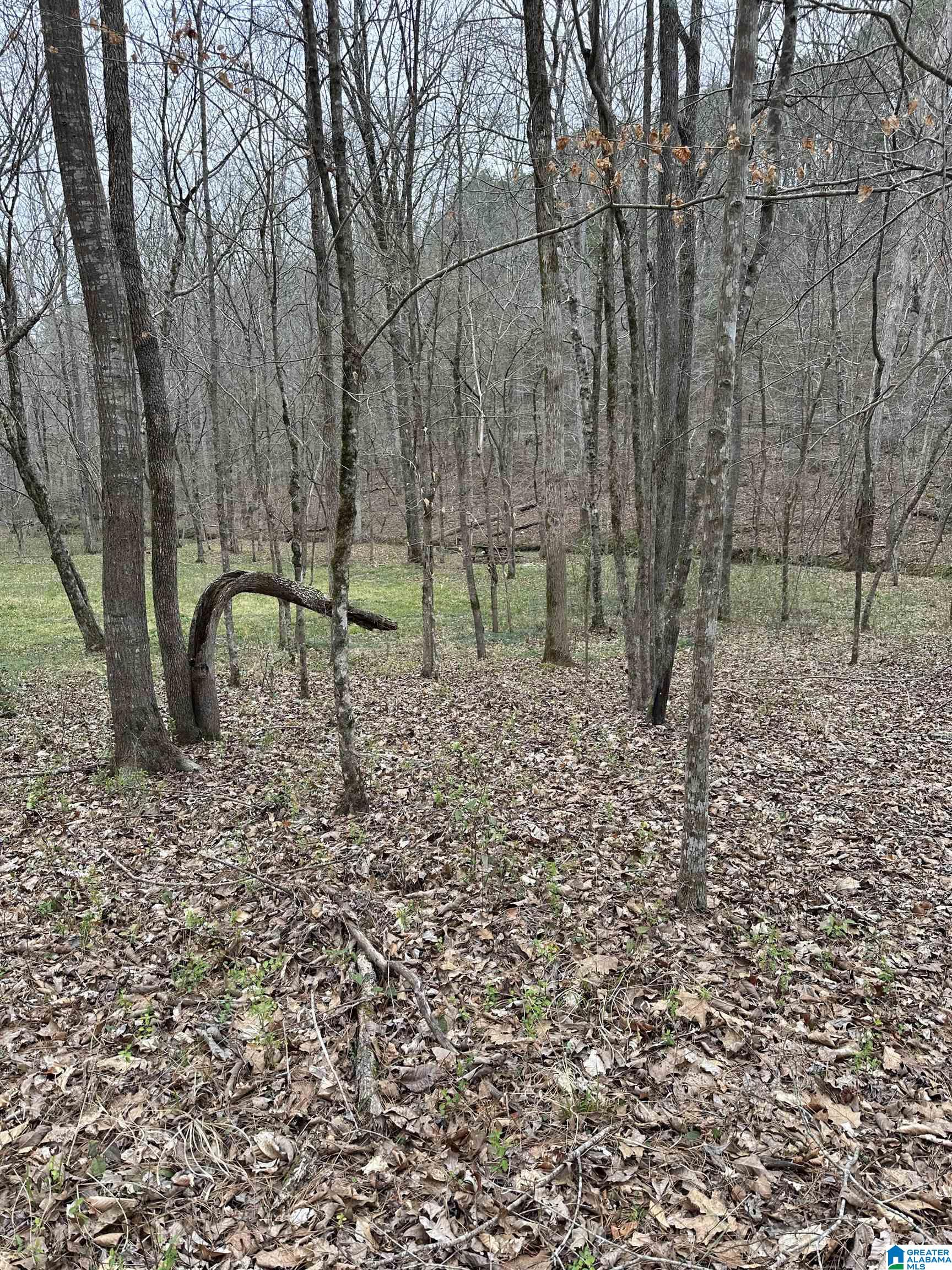 1378 Mill Creek Road Warrior, AL 35180 - Photo 37 of 42