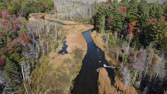 5683 Tyndal Road Branch, MI 49402 - Photo 3 of 123 2025-10-13-12-25-23-831