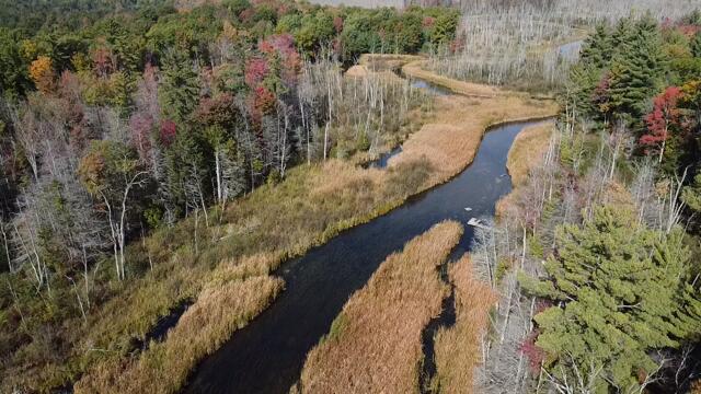 5683 Tyndal Road Branch, MI 49402 - Photo 6 of 123 2025-10-13-12-24-14-768