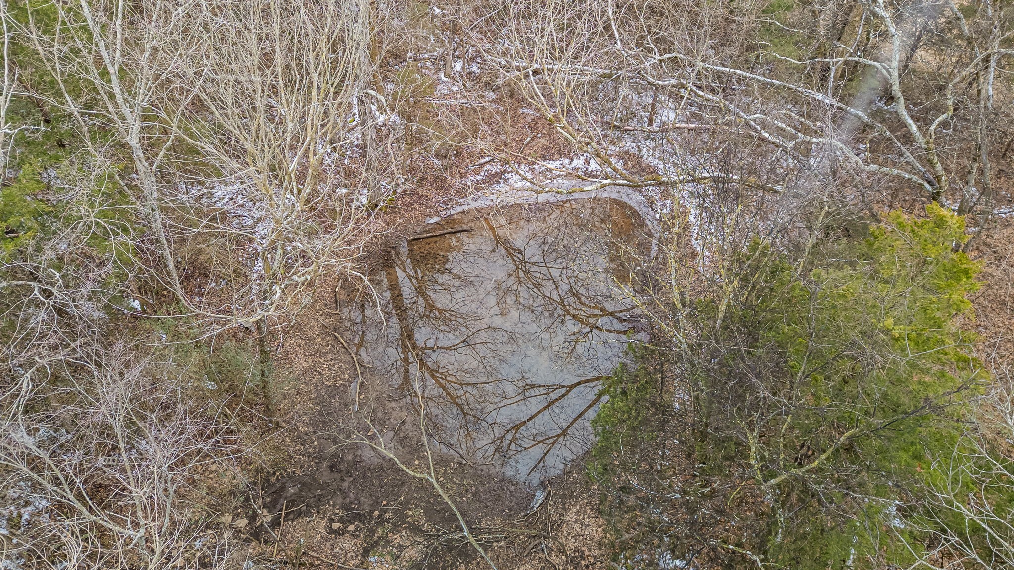 253 Henslee Road Shelbyville, TN 37160 - Photo 43 of 47 a backyard of a house