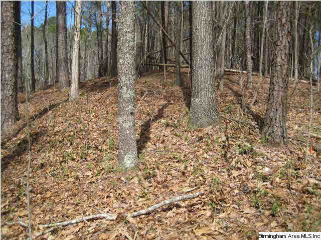 Oakmont Road, Unit 36B Birmingham, AL 35244 - Photo 3 of 3
