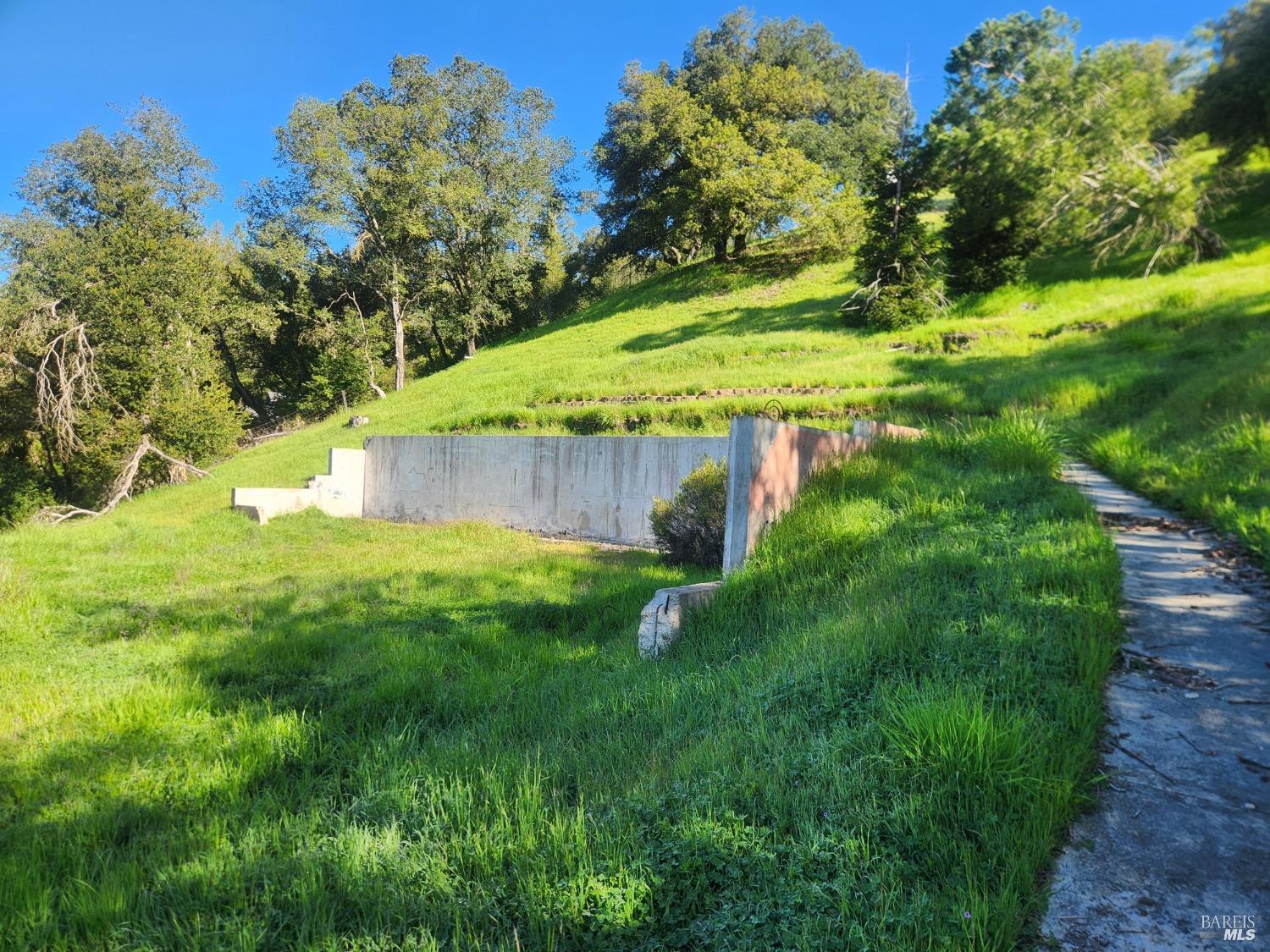 4980 Carriage Lane Santa Rosa, CA 95403 - Photo 7 of 12 a view of a yard with an tree