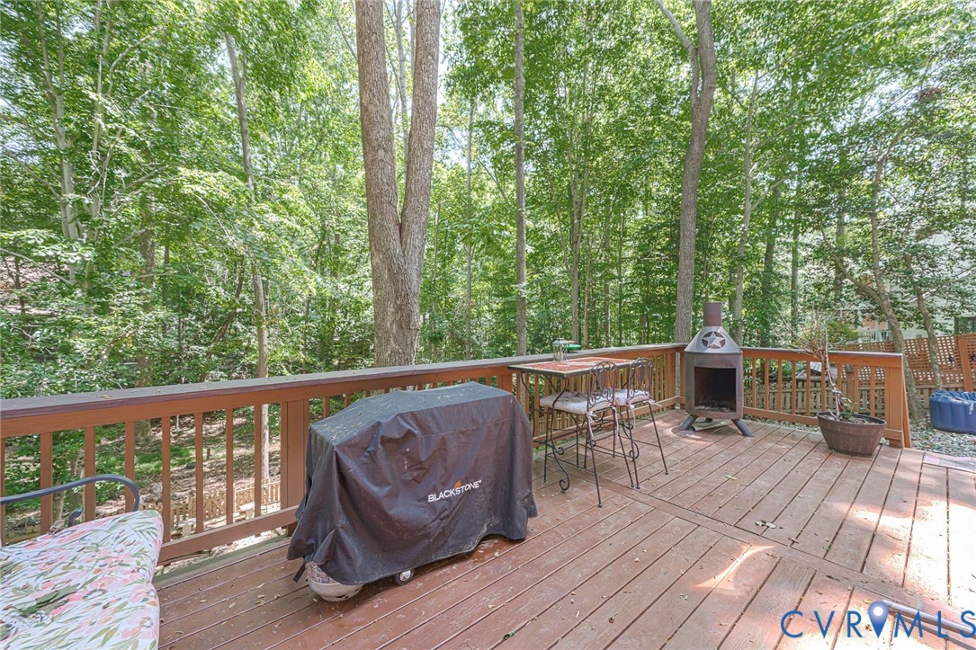 4501 Little Ridge Lane Chesterfield, VA 23832 - Photo 42 of 51