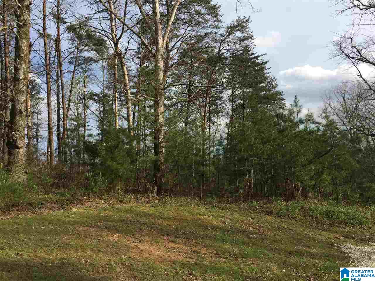 7143 G B Kennedy Road Morris, AL 35116 - Photo 18 of 22