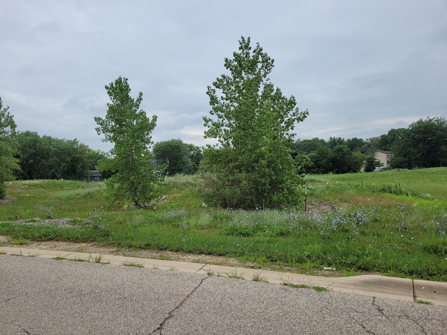 3813 Marigold Drive Elgin, IL 60124 - Photo 2 of 8 a view of a park