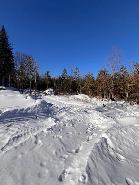 709 Fire Road Linneus, ME 04730 - Photo 20 of 30 IMG_9099