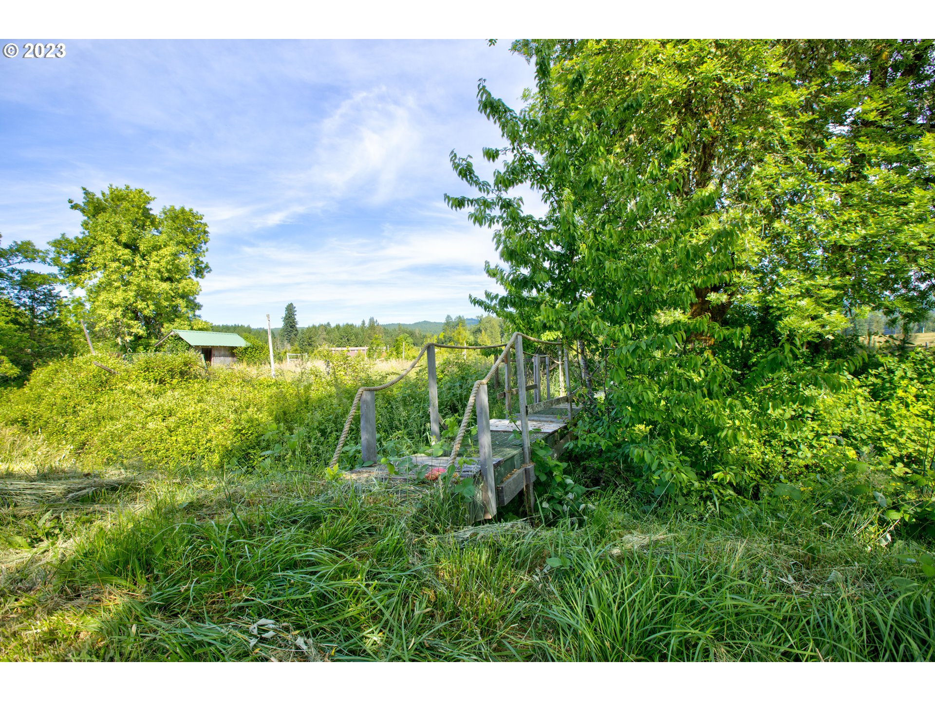 803 Main Camas Road Camas Valley, OR 97416 - Photo 30 of 48