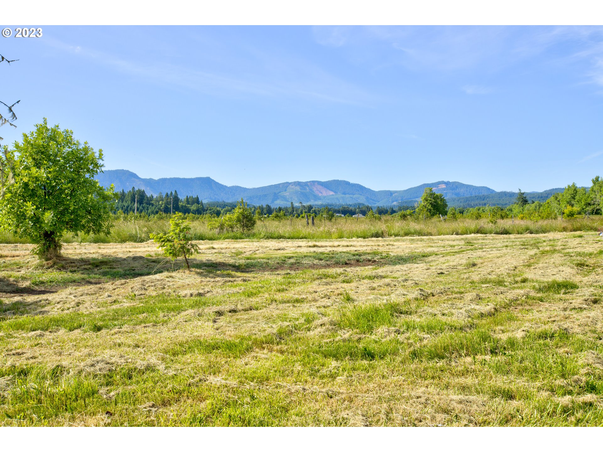 803 Main Camas Road Camas Valley, OR 97416 - Photo 34 of 48
