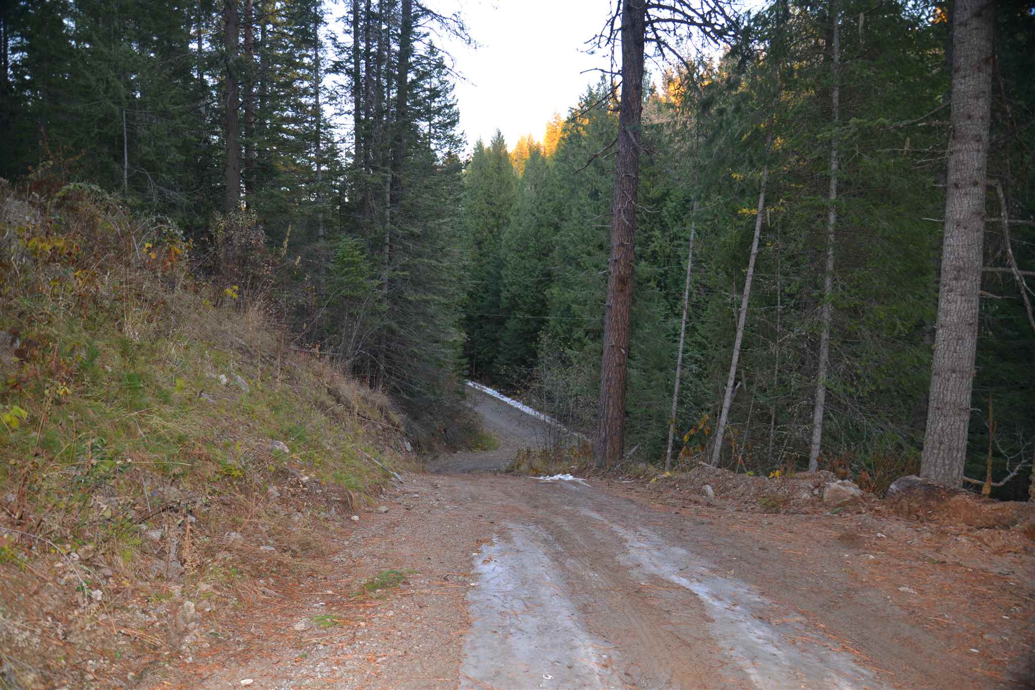 19319 East Elliot Road Mead, WA 99021 - Photo 18 of 20