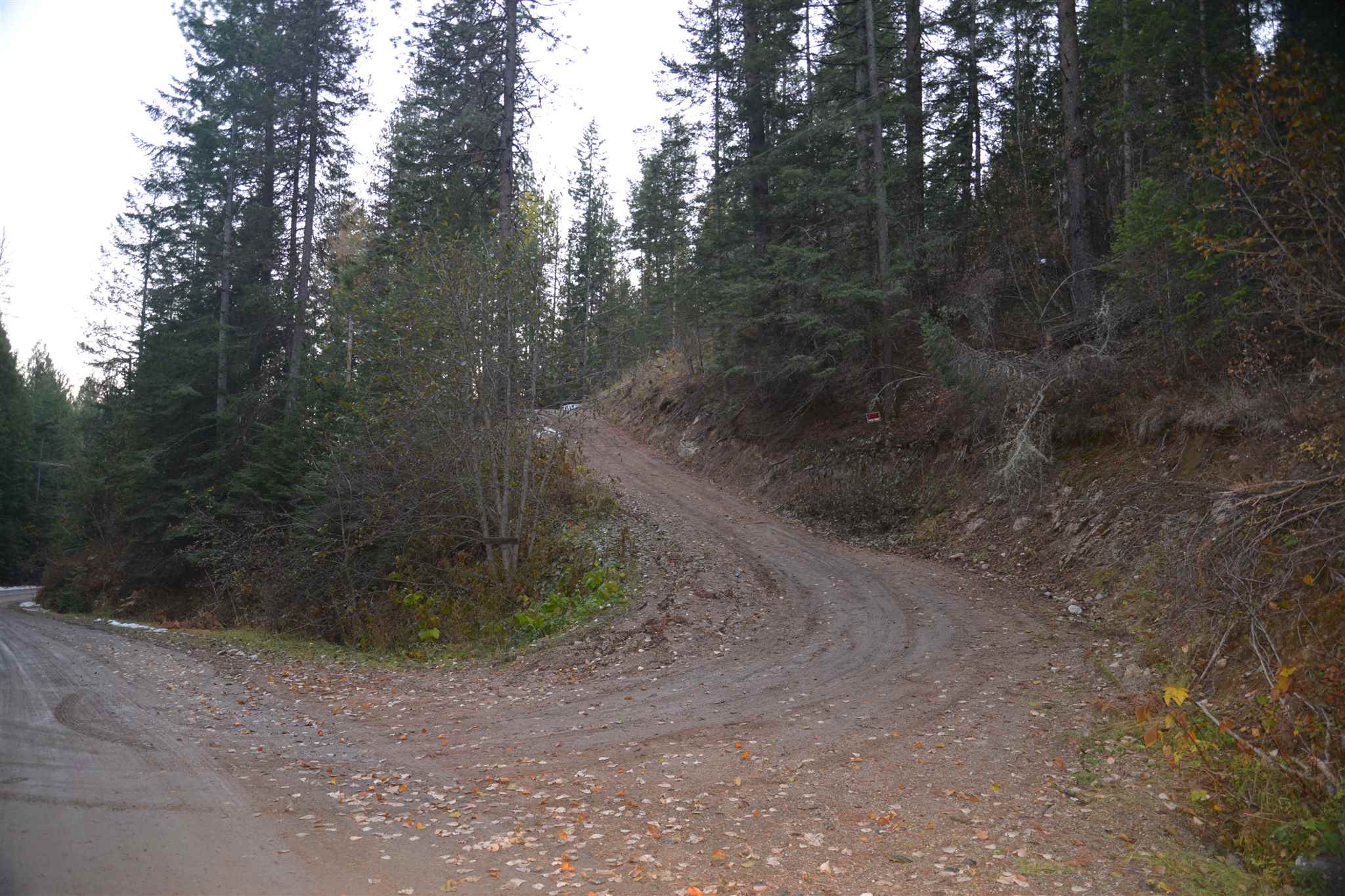 19319 East Elliot Road Mead, WA 99021 - Photo 19 of 20