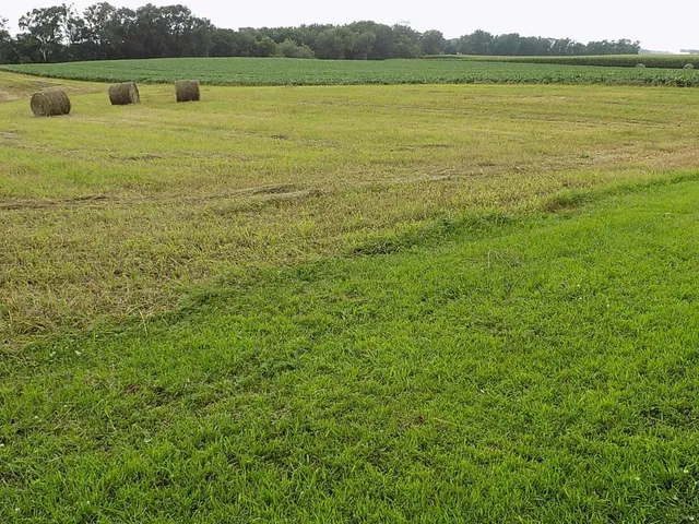 $1 | 21599 170th Street, Sleepy Eye, MN 56085