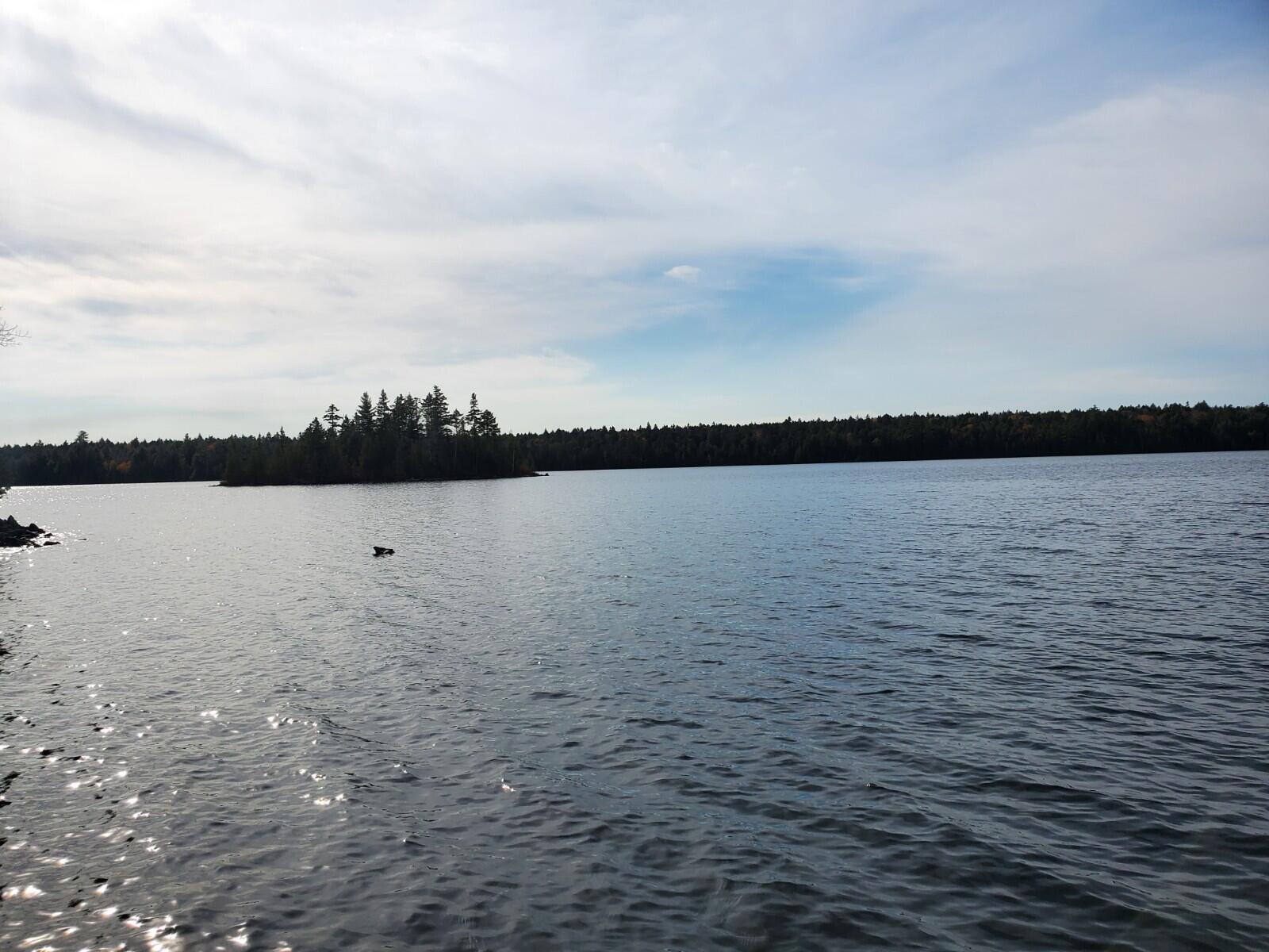 Lot 11 Birch Point Road Cooper, ME 04657 - Photo 21 of 21 20201022_123406