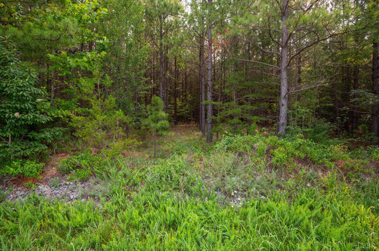 6 Wyatt Miles Road Gladys, VA 24554 - Photo 7 of 15 Gallery Image 7