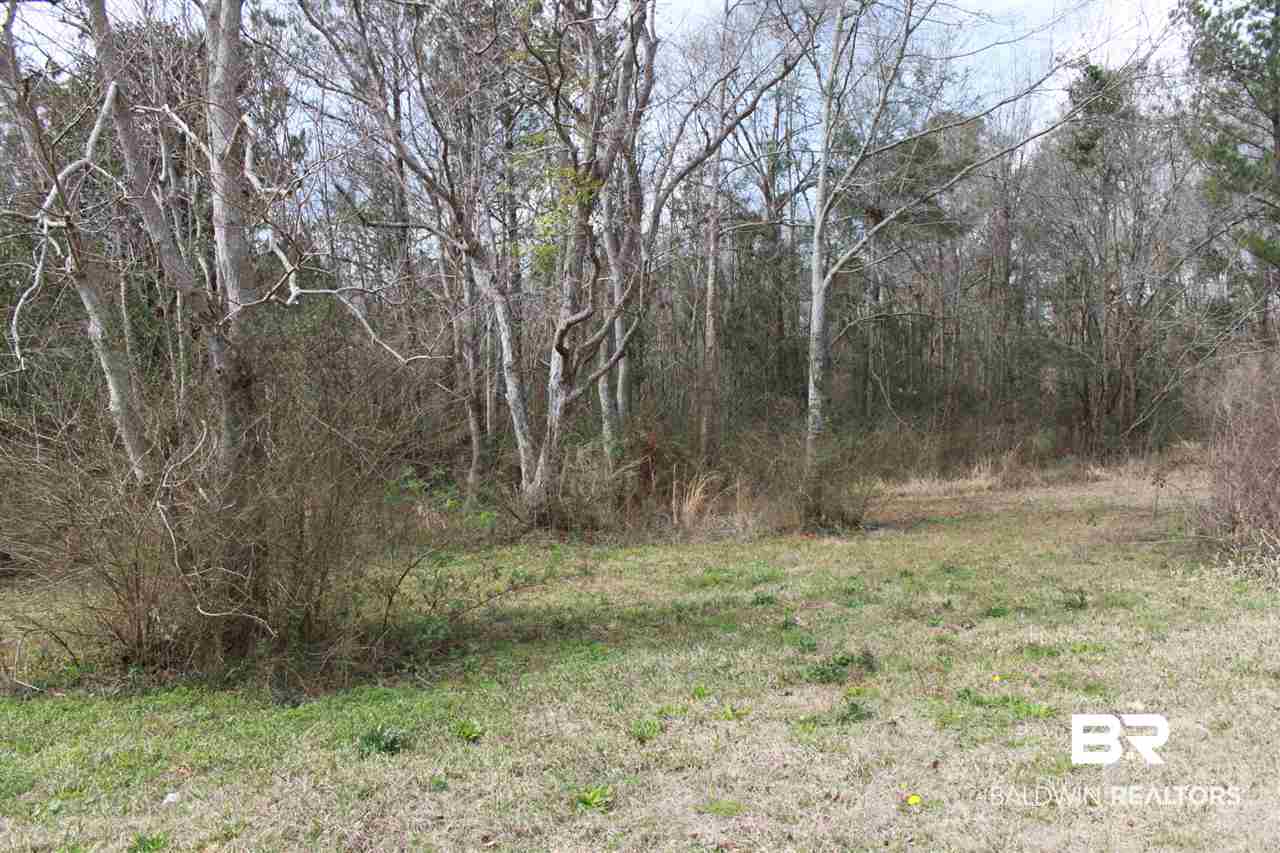 9380 Spice Pond Road Eight Mile, AL 36613 - Photo 13 of 36 Wooded area of the 2.46 level acres.