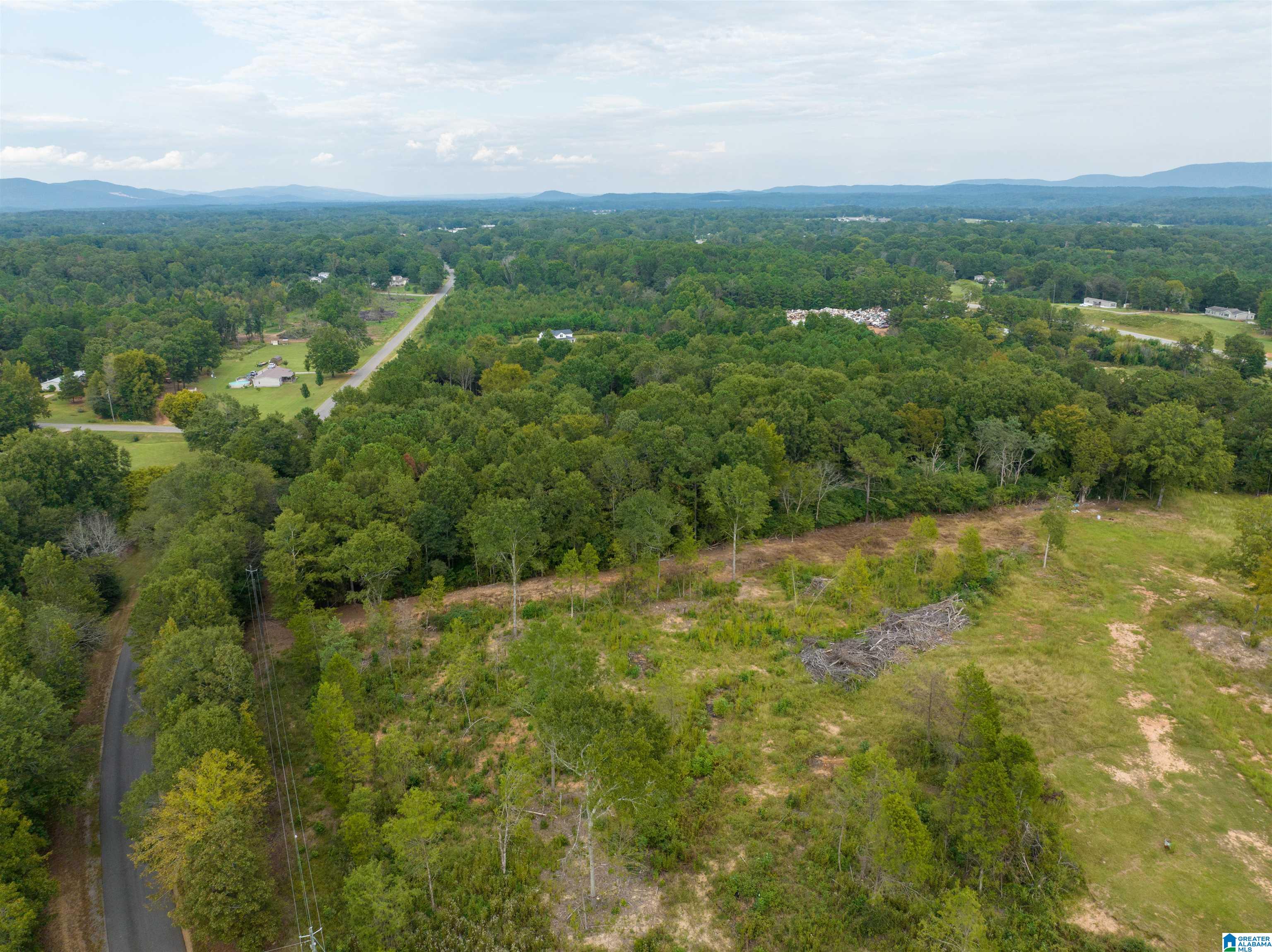 0 Campbell Road Munford, AL 36268 - Photo 12 of 13