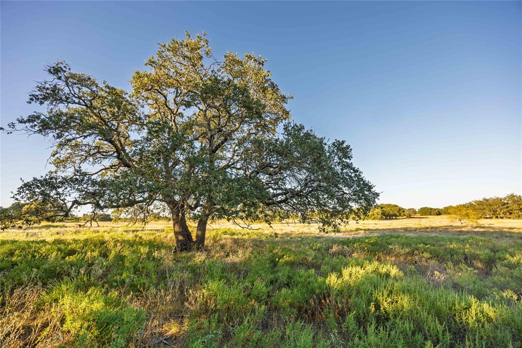 3270 Fm-573 Comanche, TX 76442 - Photo 28 of 40