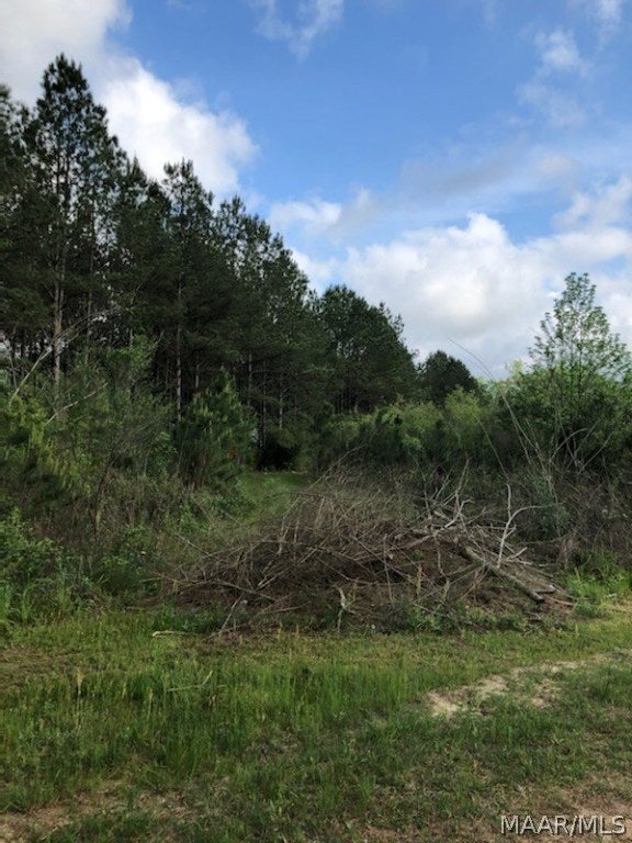 1142 Pera Road Samson, AL 36477 - Photo 6 of 17 Gallery Image 6