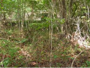 L0-t15 Montego Bay Road, Unit 15 Abingdon, VA 24211 - Photo 6 of 6 Photo 6