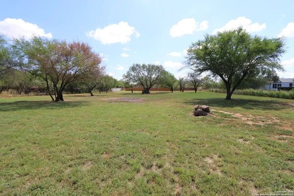 a view of field with large trees