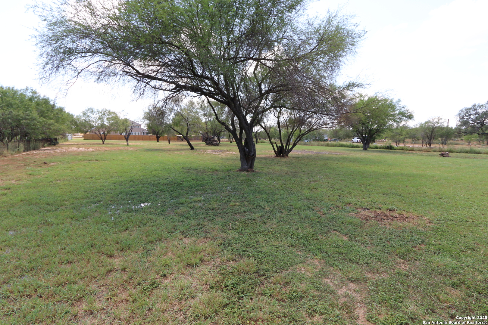 125 County Road 2666 Devine, TX 78016 - Photo 4 of 9 a view of field with large trees