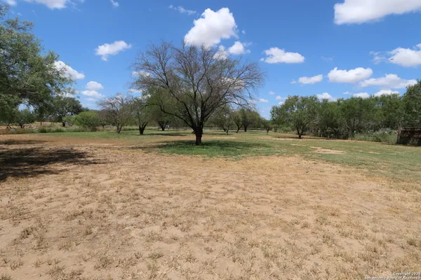 a view of a field with trees in the background
