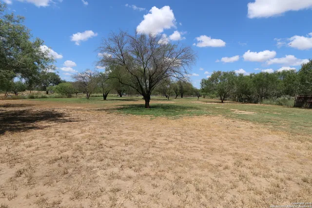 a view of a field with trees in the background