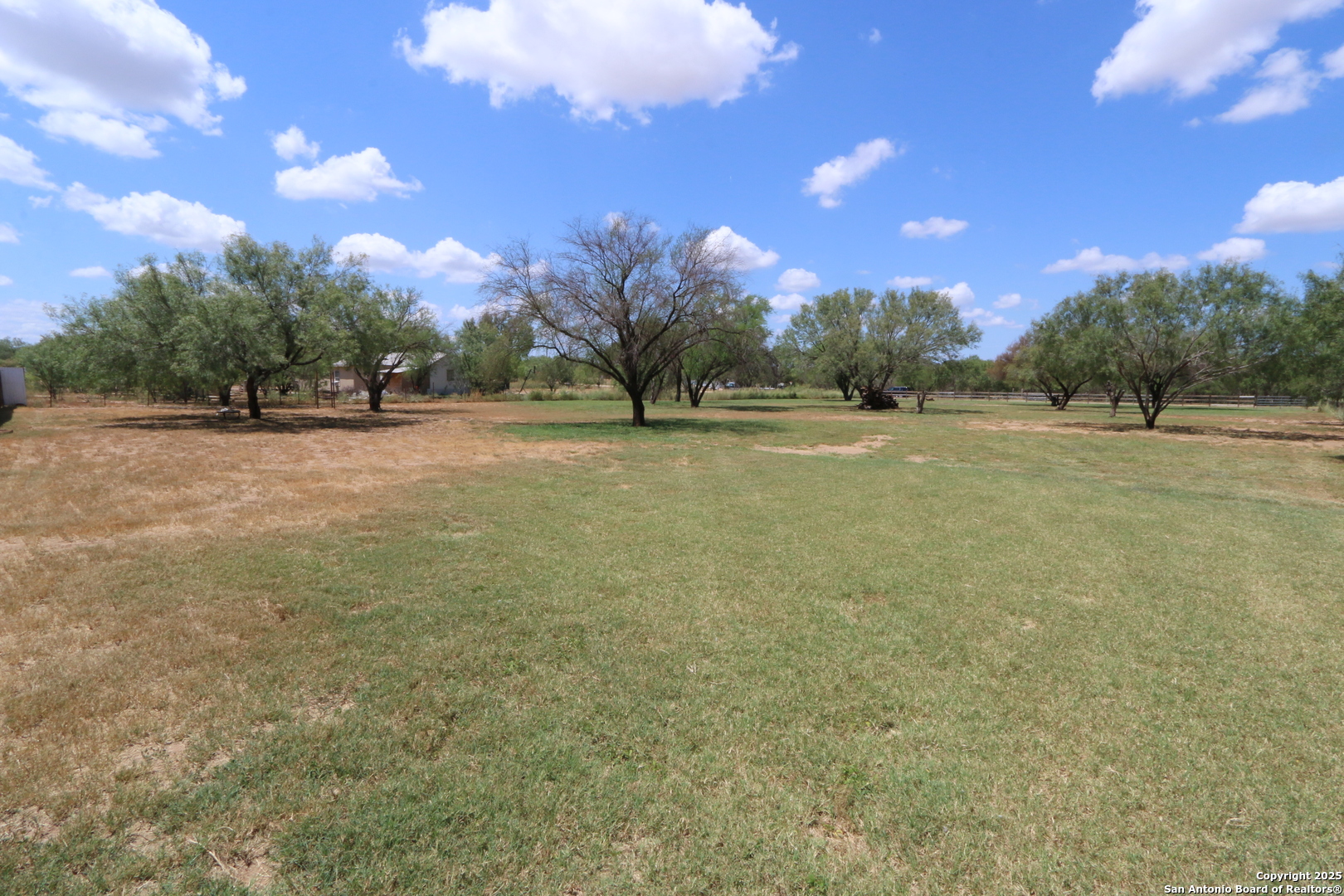 125 County Road 2666 Devine, TX 78016 - Photo 6 of 9 a view of a field with trees in the background