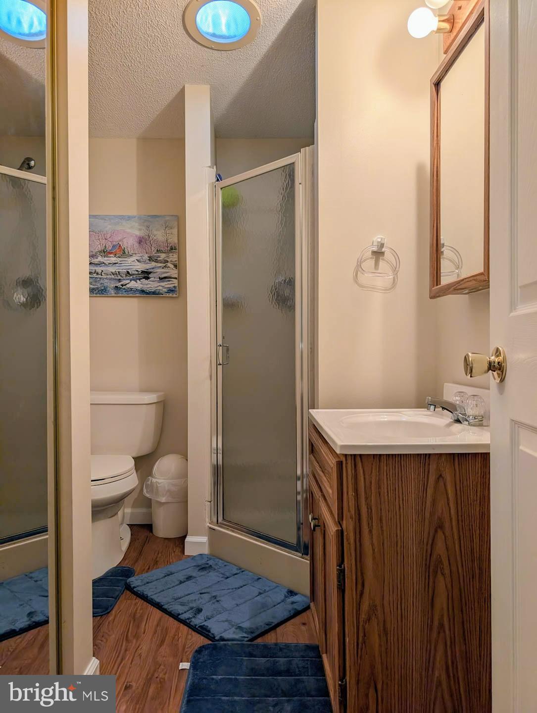 939 Collins Road Artemas, PA 17211 - Photo 15 of 43 a bathroom with a sink a toilet and shower