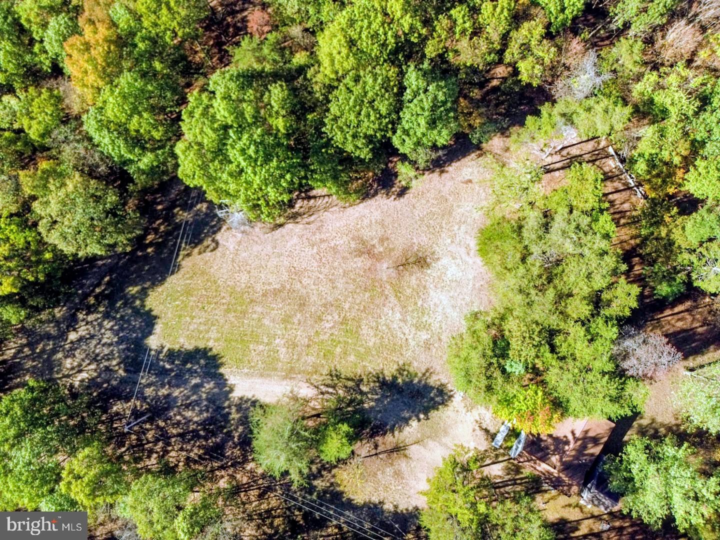 939 Collins Road Artemas, PA 17211 - Photo 19 of 43 a view of a garden with a flower